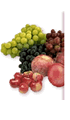 fruits