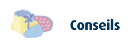 conseils