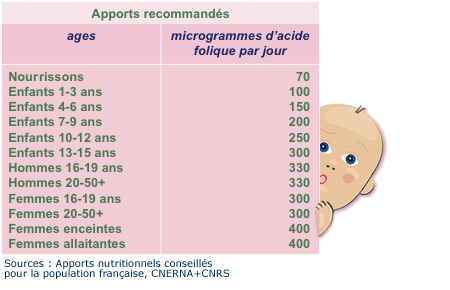 apports recommand�s